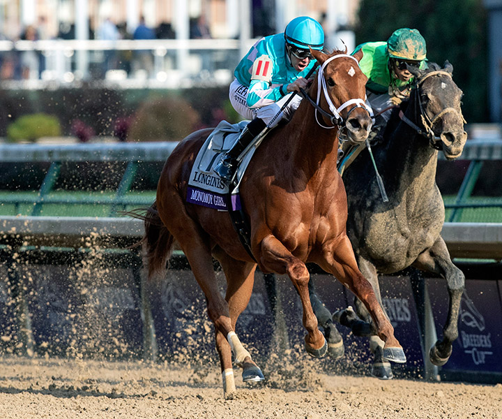 Monomoy Girl wins the 2018 Breeders' Cup Distaff at Churchill Downs