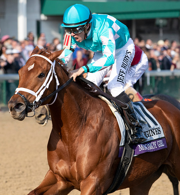 Monomoy Girl wins the 2018 Breeders' Cup Distaff at Churchill Downs