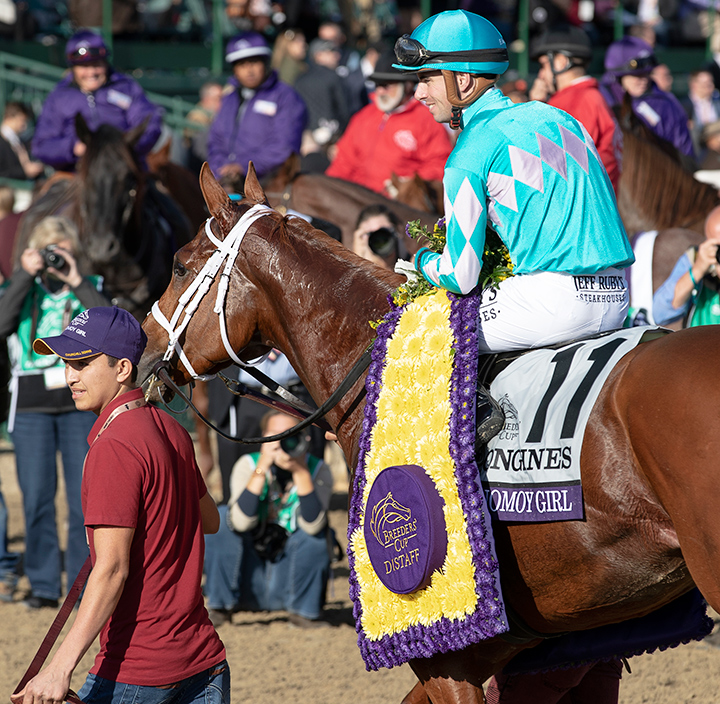 Monomoy Girl wins the 2018 Breeders Cup Distaff at Churchill Downs