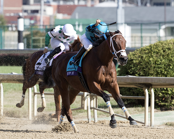 Roy H wins the 2018 Breeders Cup Sprint