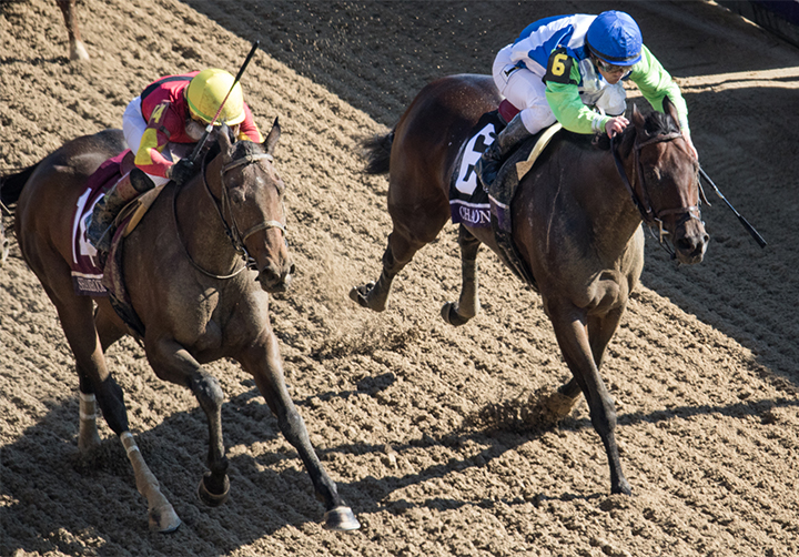 Shamrock Rose wins the 2018 Breeders Cup Filly and Mare Sprint
