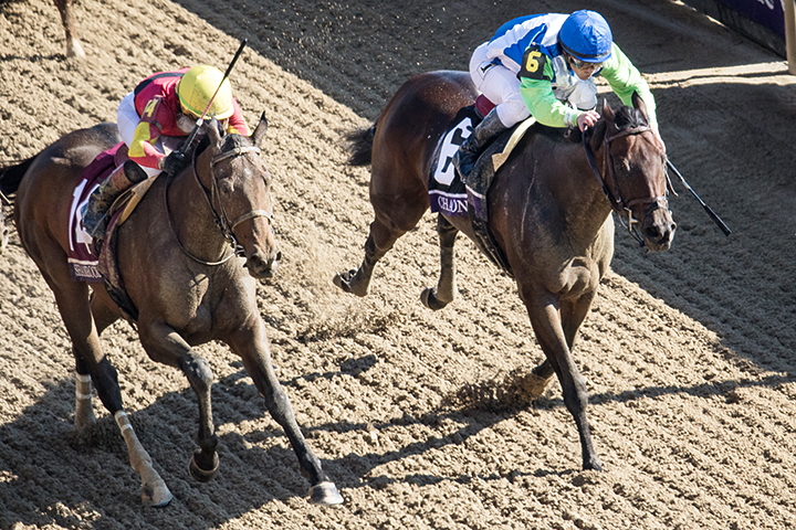 Chalon (right) finishes second in the 2018 Breeders' Cup Filly and Mare Sprint at Churchill Downs