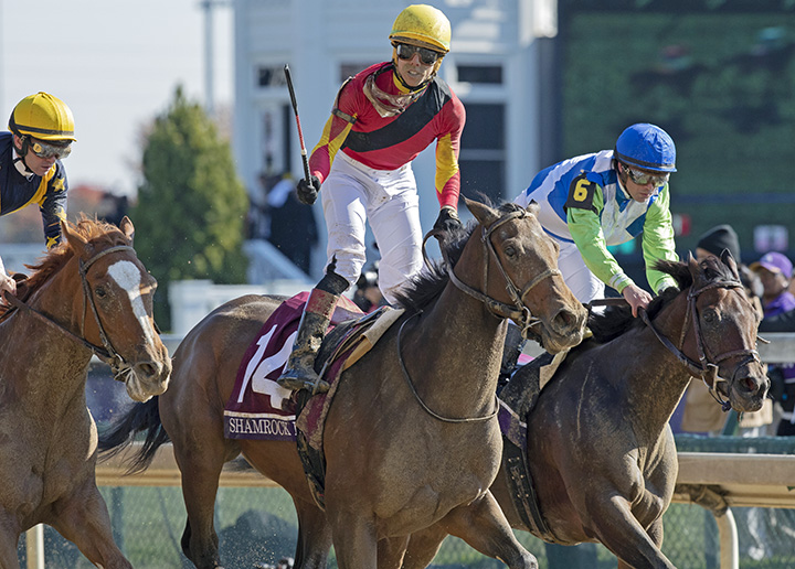 Shamrock Rose wins the 2018 Breeders Cup Filly and Mare Sprint