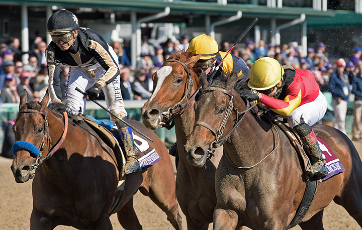 Shamrock Rose wins the Breeders Cup Filly and Mare Sprint