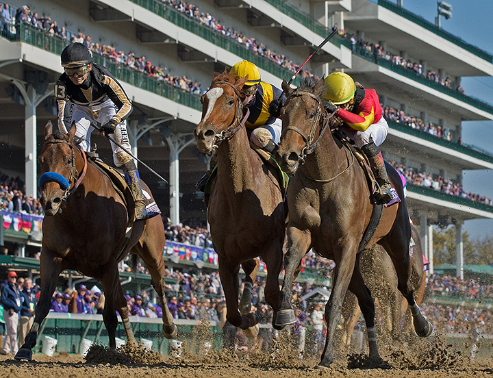 Shamrock Rose - Eclipse Awards 2018