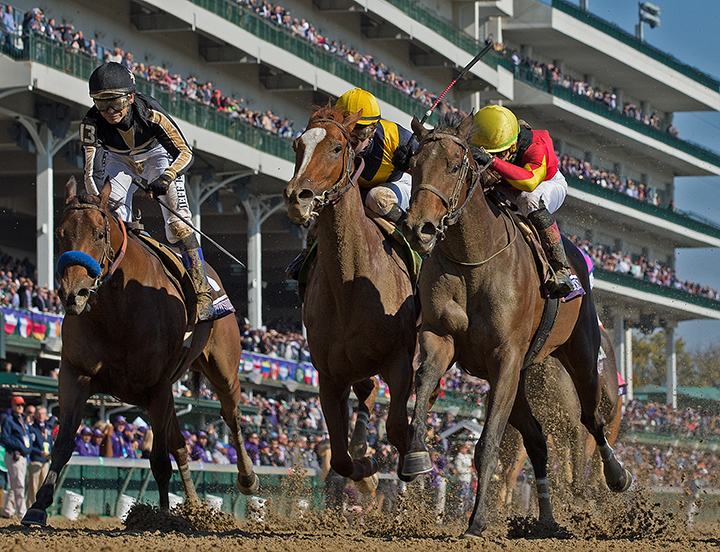 Shamrock Rose wins the Breeders Cup Filly and Mare Sprint