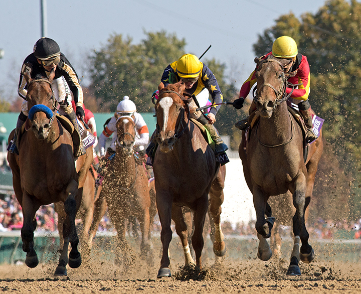 Anonymity (center) finishes third in the Breeders' Cup Filly and Mare Sprint
