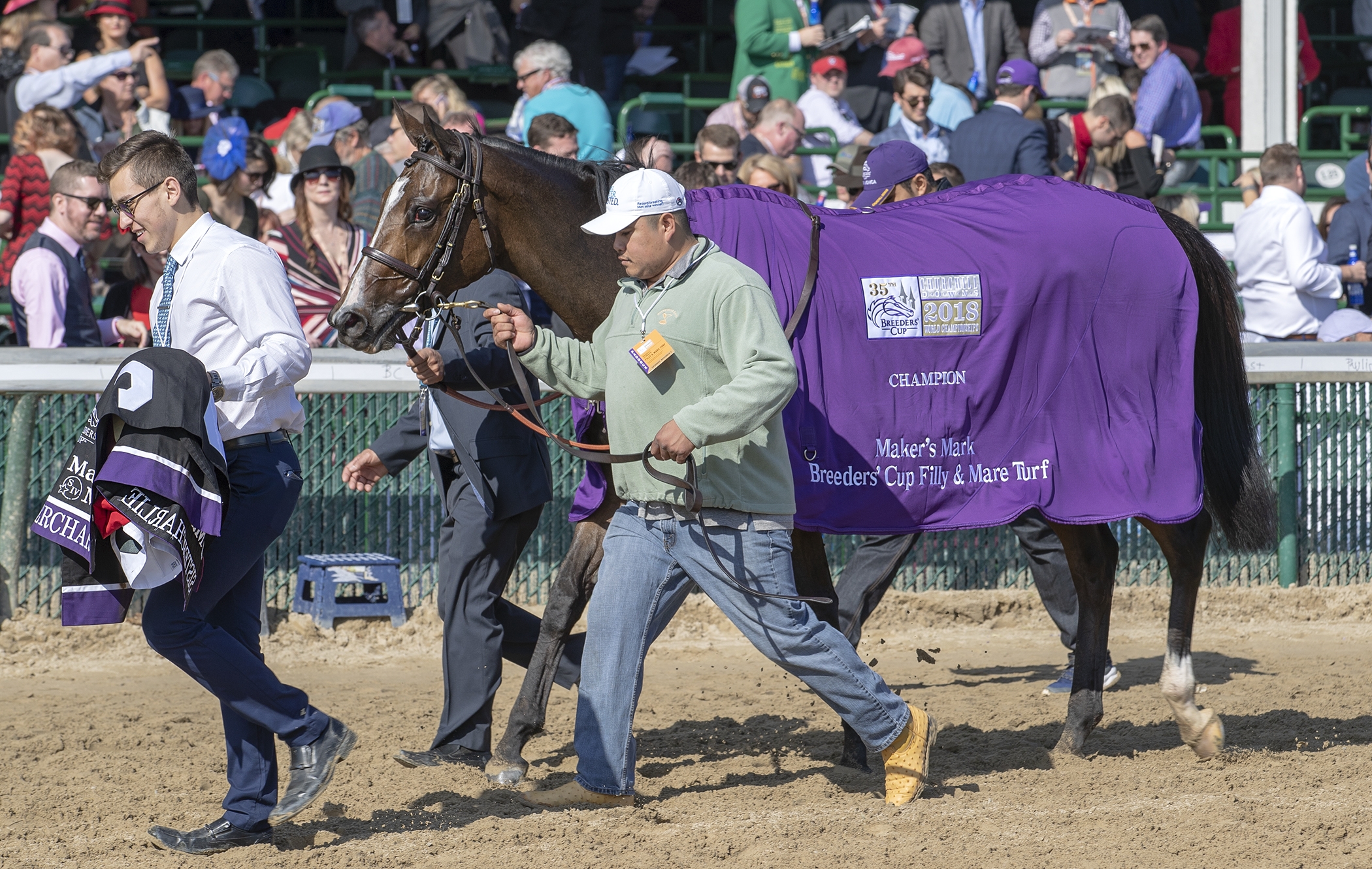 Sistercharlie after winning the 2018 BC Filly and Mare Turf