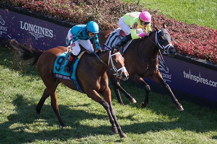 World of Trouble finishes second in the 2018 Breeders Cup Turf Sprint