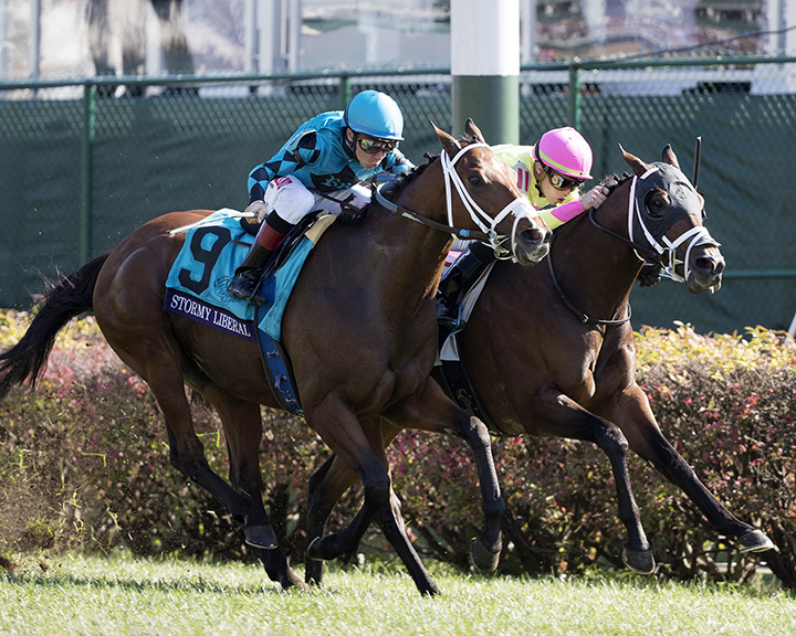 Stormy Liberal wins the 2018 Breeders Cup Turf Sprint