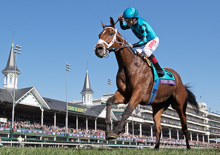 Stormy Liberal wins the Breeders Cup Turf Sprint