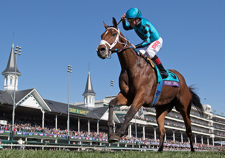 Stormy Liberal wins the 2018 Breeders Cup Turf Sprint at Churchill Downs