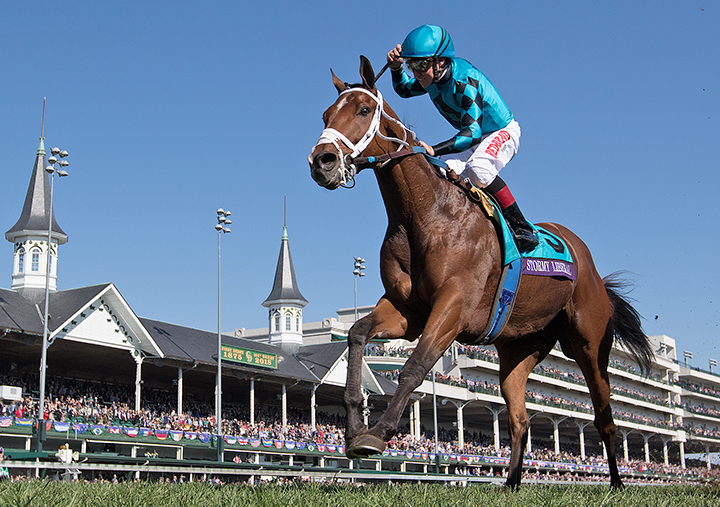 Stormy Liberal wins the 2018 Breeders Cup Turf Sprint at Churchill Downs