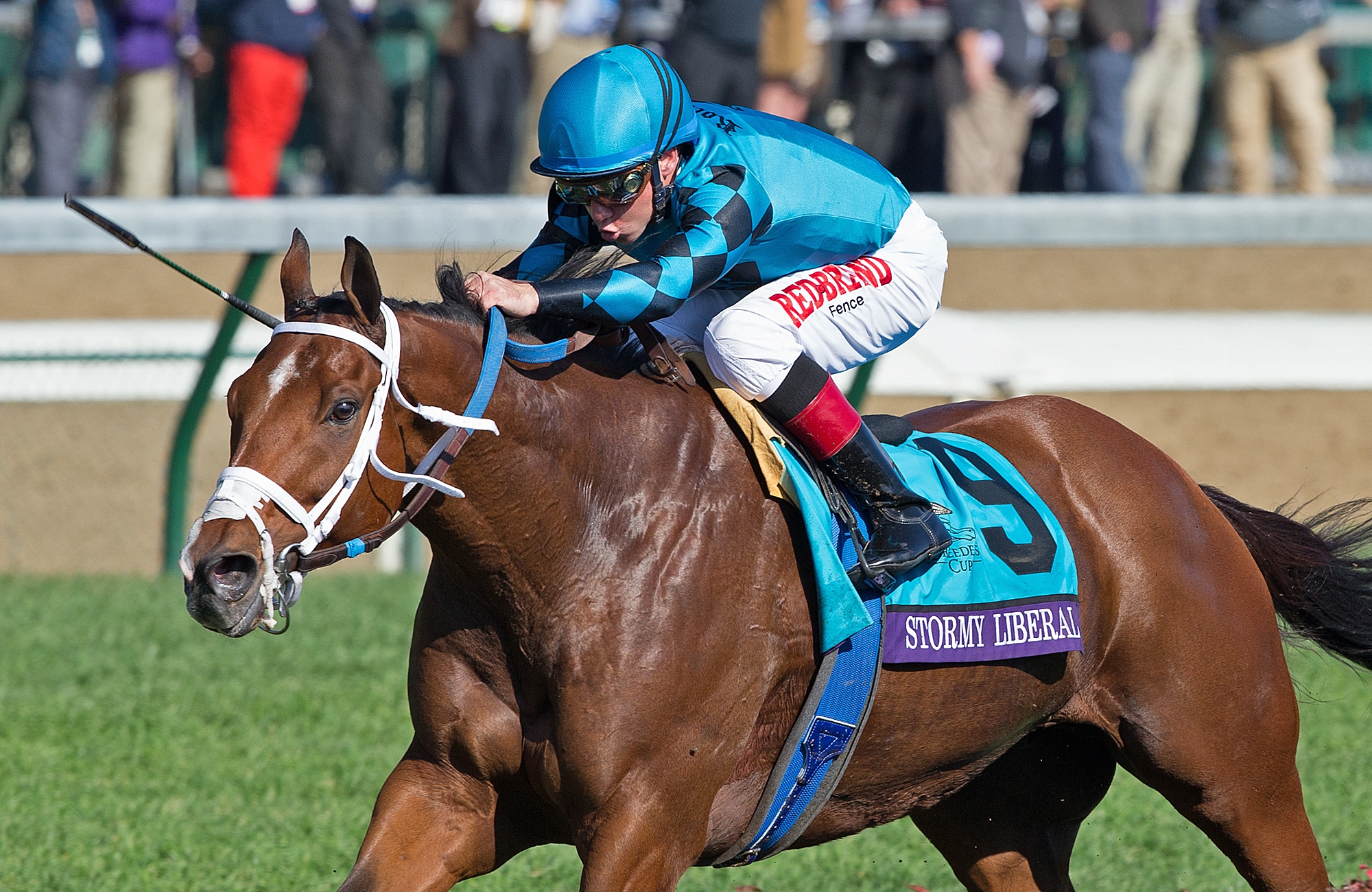 Stormy Liberal wins the 2018 BC Turf Sprint