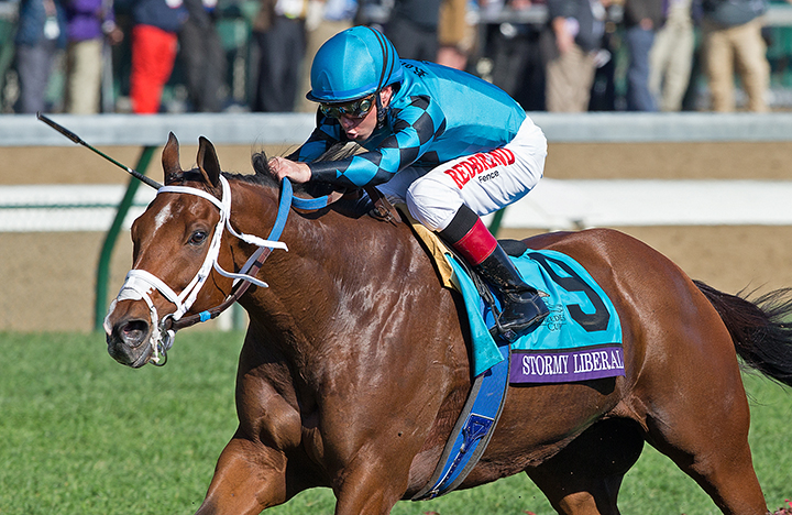 Stormy Liberal - Eclipse Awards 2018