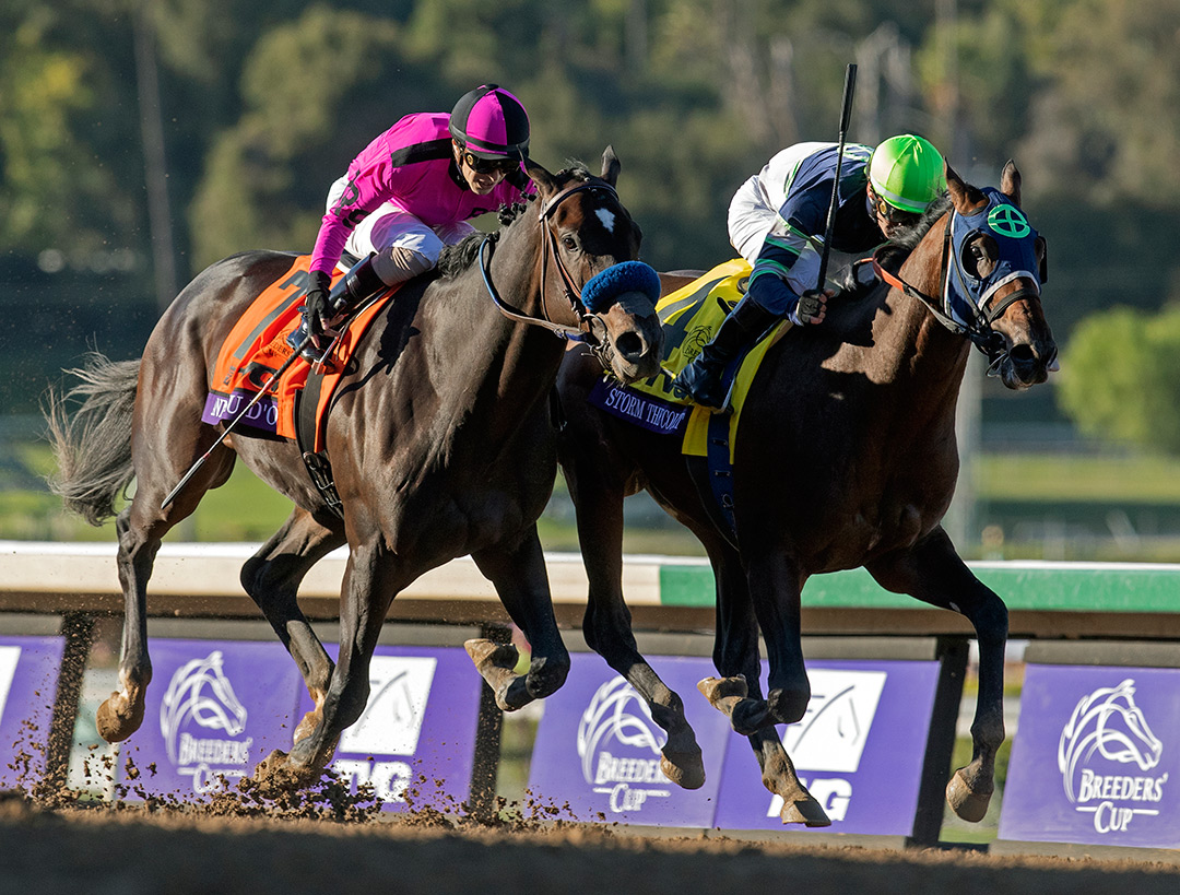 Anneau d’Or (left) finishes second in the 2019 Breeders' Cup Juvenile at Santa Anita