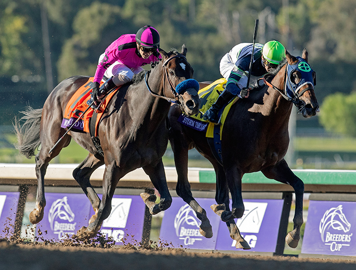 Anneau d'Or (left) finishes second in the Breeders' Cup Juvenile at Santa Anita Park