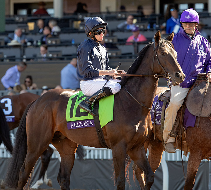 Arizona at the Breeders' Cup Juvenile Turf at Santa Anita