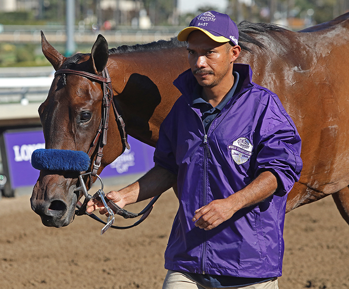 Bast at the 2019 Breeders' Cup