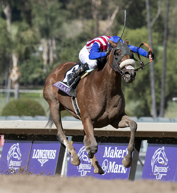 Bellafina finishes second in the Breeders' Cup Filly and Mare Sprint at Santa Anita