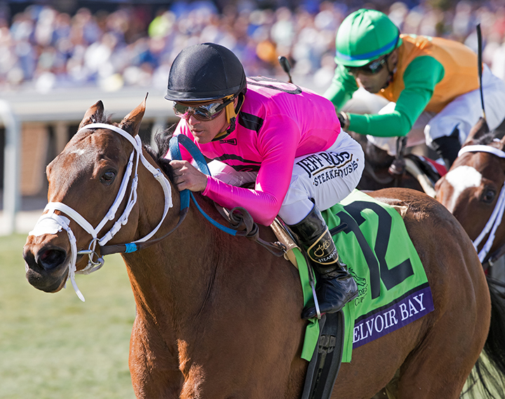 Belvoir Bay wins the 2019 Breeders Cup Turf Sprint at Santa Anita Park
