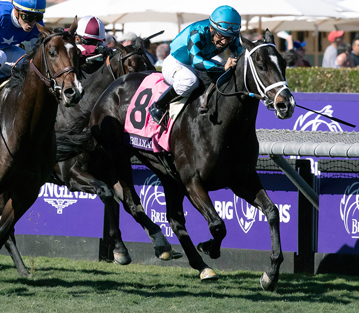 Billy Batts finishes second in the Breeders' Cup Juvenile Turf at Santa Anita