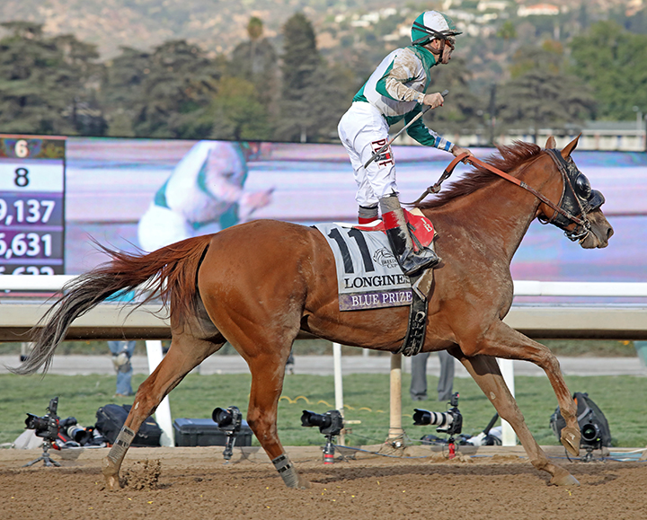 Blue Prize wins the 2019 Breeders Cup Distaff at Santa Anita Park