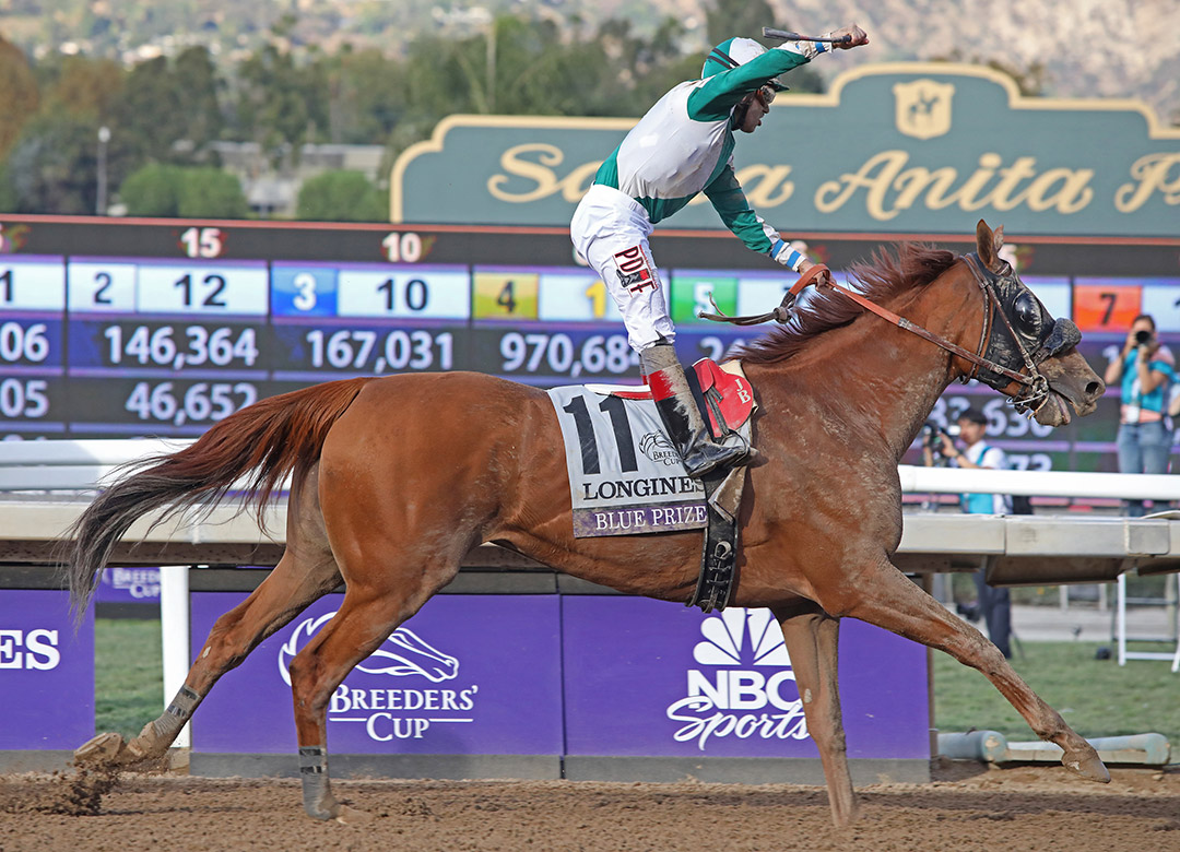 Blue Prize wins the 2019 Breeders' Cup Distaff at Santa Anita