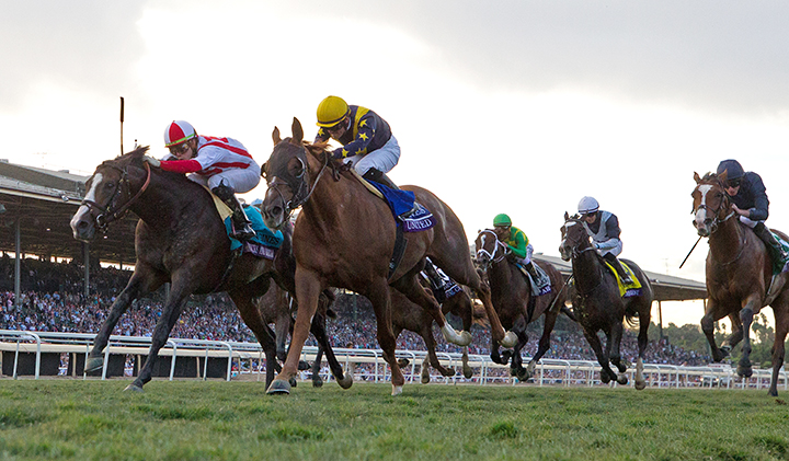 Bricks and Mortar (left) wins the 2019 Breeders Cup Turf at Santa Anita Park