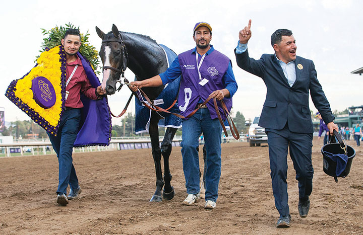 Bricks and Mortar after winning the Breeders' Cup Turf at Santa Anita Park