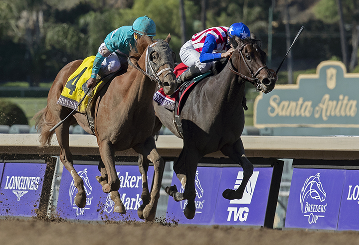 Donna Veloce (right) finishes second in the 2019 Breeders Cup Juvenile Fillies
