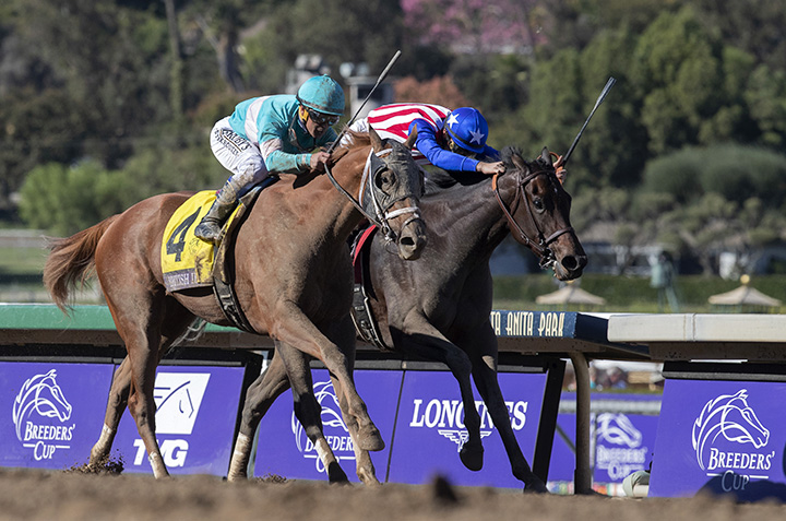 British Idiom (left) wins the 2019 Breeders Cup Juvenile Fillies at Santa Anita