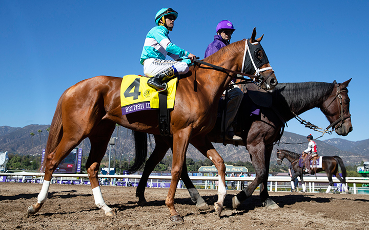 British Idiom at the Breeders' Cup at Santa Anita Park
