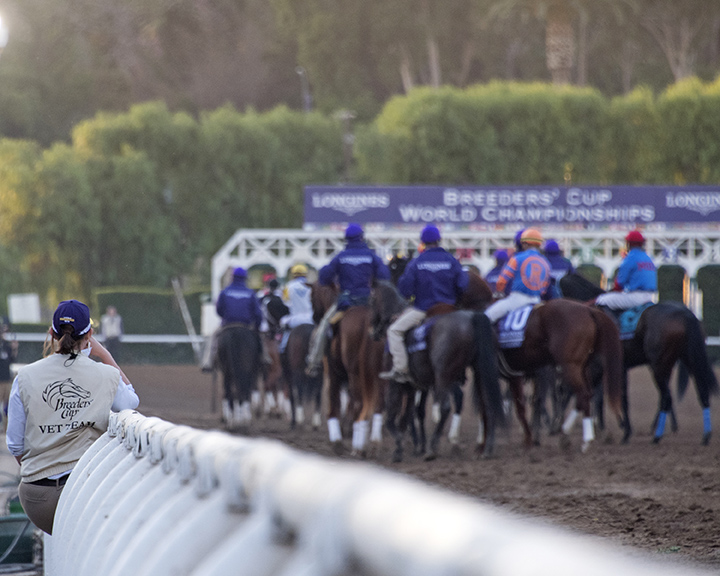 Breeders Cup Classic