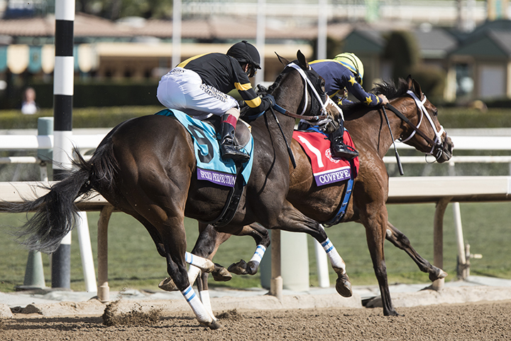 Covfefe wins the 2019 Breeders Cup Filly and Mare Sprint at Santa Anita Park