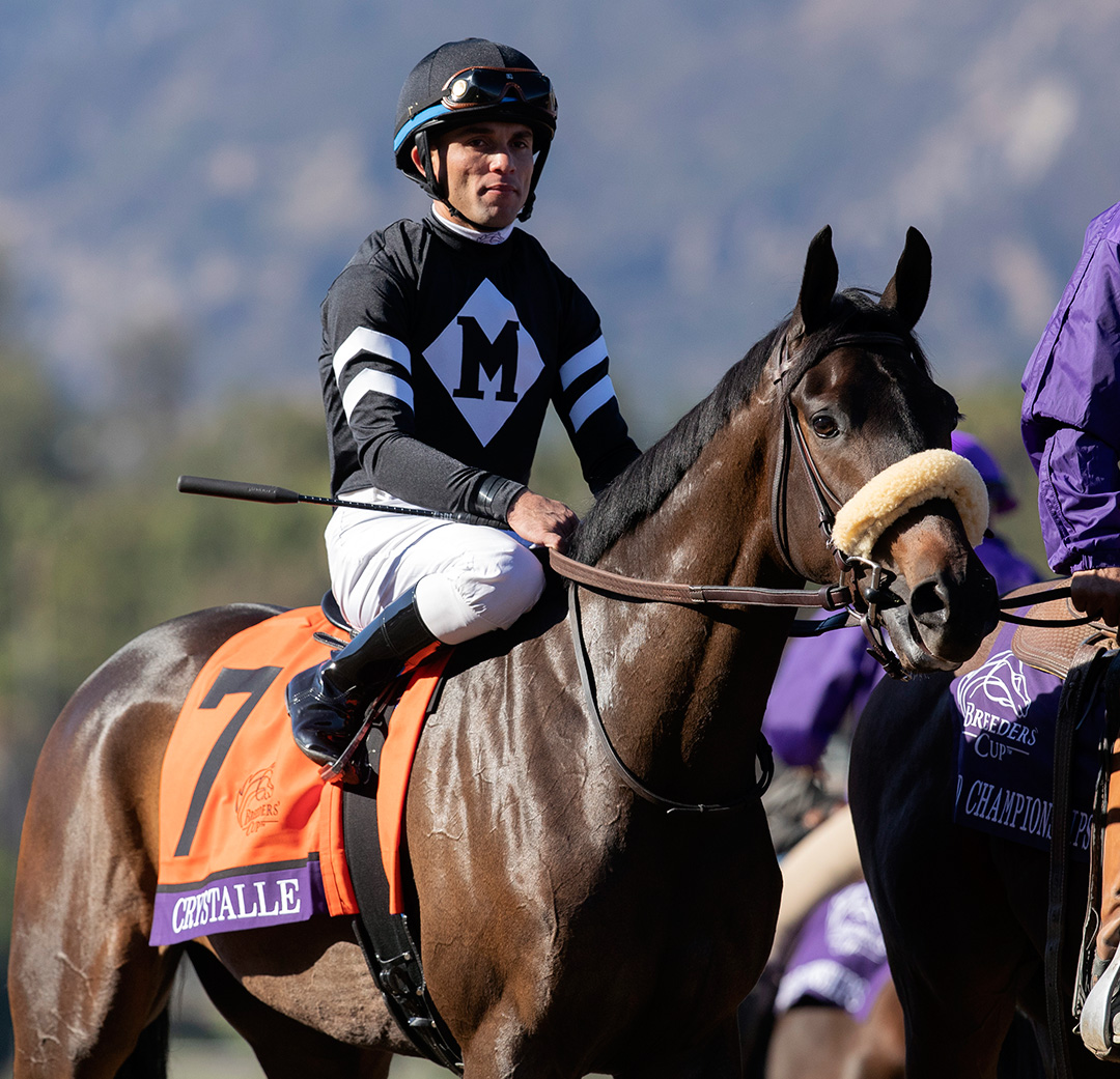 Crystalle at the 2019 Breeders' Cup Juvenile Fillies Turf at Santa Anita