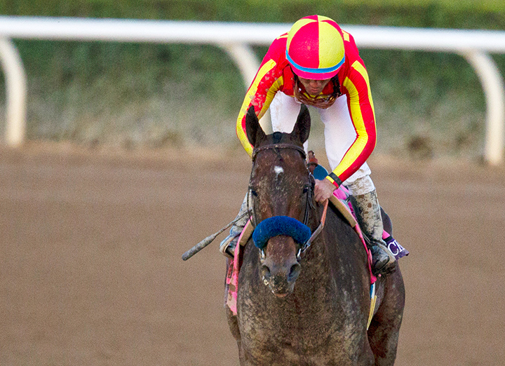 McKinzie comes back after the 2019 Breeders' Cup Classic at Santa Anita Park