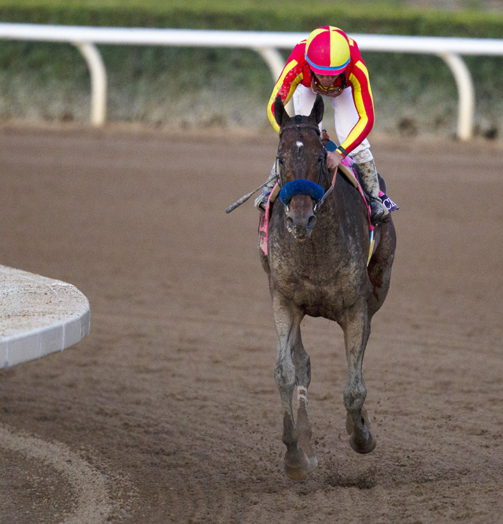 McKinzie comeback after 2019 Breeders' Cup Classic
