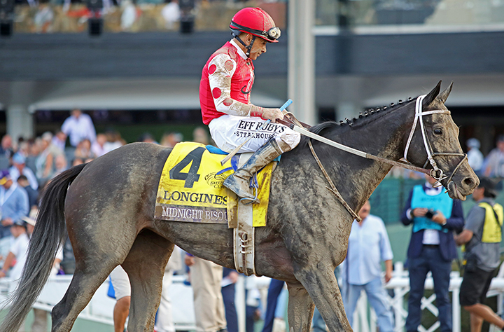 Midnight Bisou after finishing second in the Breeders Cup Distaff