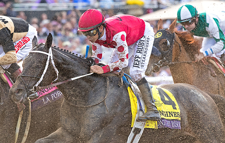 Saudi Cup: Midnight Bisou works easy half at King Abdulaziz Racetrack