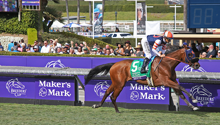 Mirth finishes sixth in the Breeders' Cup Filly and Mare Turf at Santa Anita Park