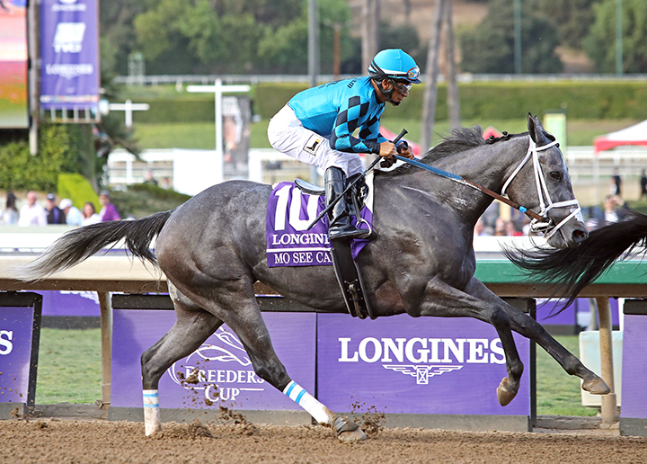 Mo See Cal finishes sixth in the Breeders' Cup Distaff at Santa Anita Park