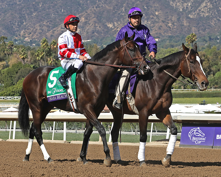 Omaha Beach at the Breeders' Cup Dirt Mile at Santa Anita Park