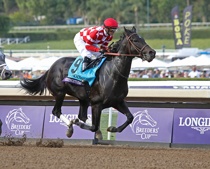 Serengeti Empress finishes third in the Breeders' Cup Distaff at Santa Anita