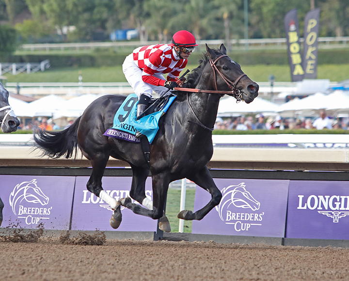 Serengeti Empress finishes third in the Breeders Cup Distaff at Santa Anita