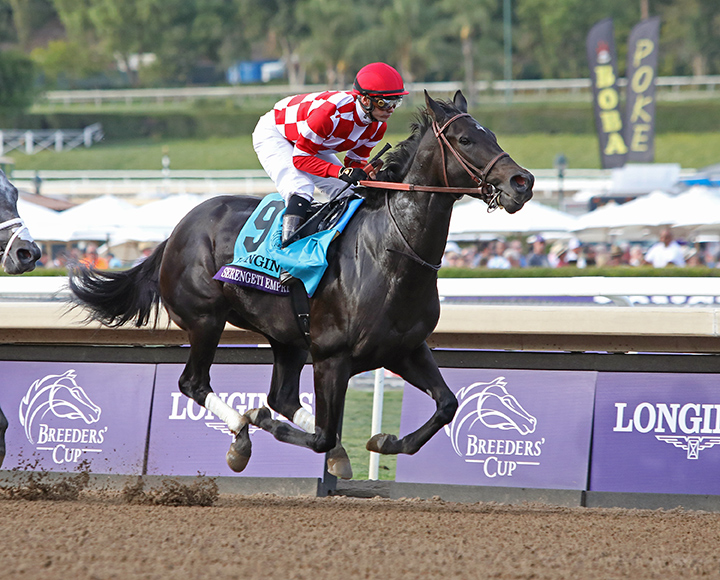 Serengeti Empress finishes third in the Breeders Cup Distaff at Santa Anita
