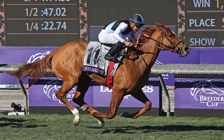 Sharing wins the 2019 Breeders Cup Juvenile Fillies Turf at Santa Anita
