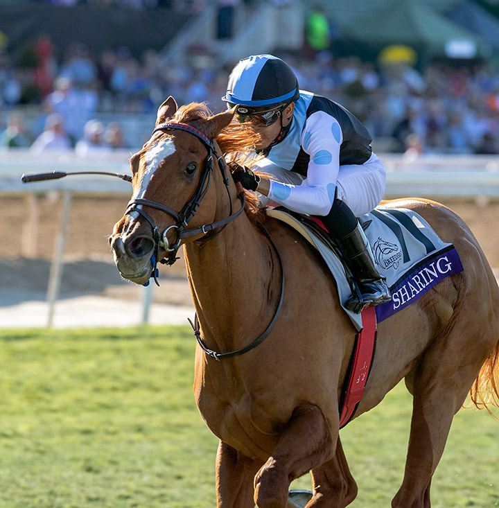 Sharing wins the 2019 Breeders' Cup Juvenile Fillies Turf at Santa Anita
