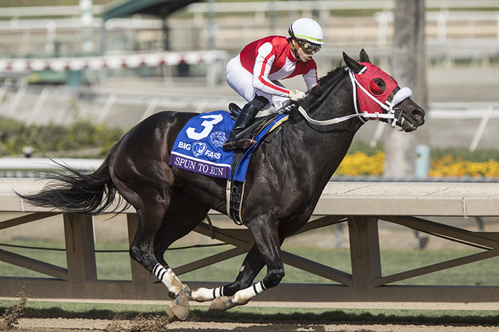Spun to Run wins the 2019 Breeders Cup Dirt Mile at Santa Anita Park