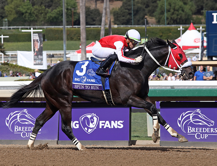 Spun to Run wins the 2019 Breeders Cup Dirt Mile at Santa Anita Park